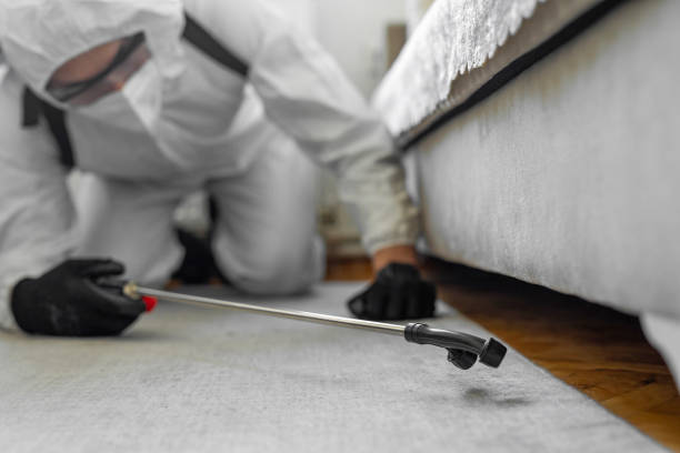 Professional Bed Bug Control technician working in Loudonville, NY